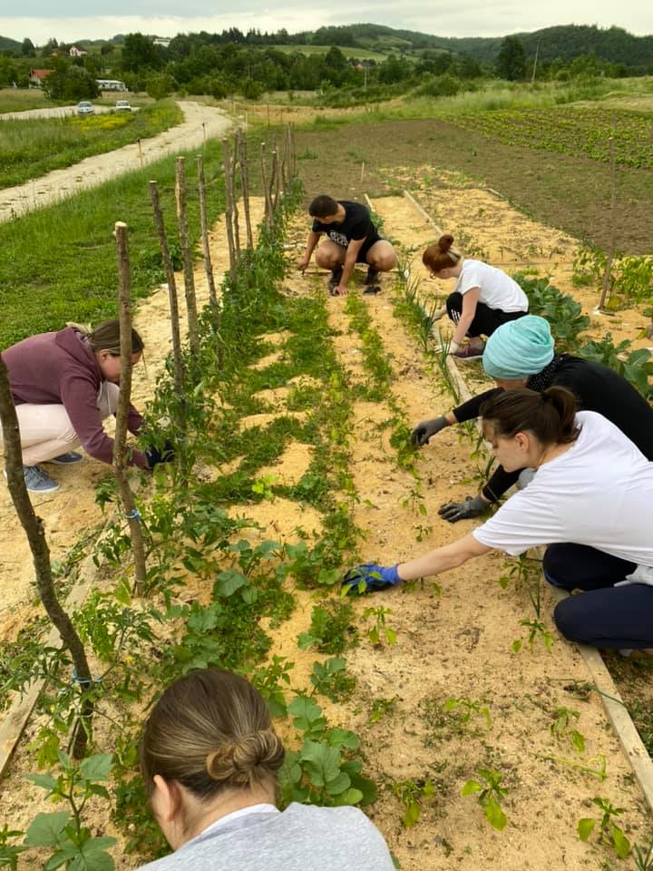 Today we sowed corn and pumpkins with our Volunteers Club..