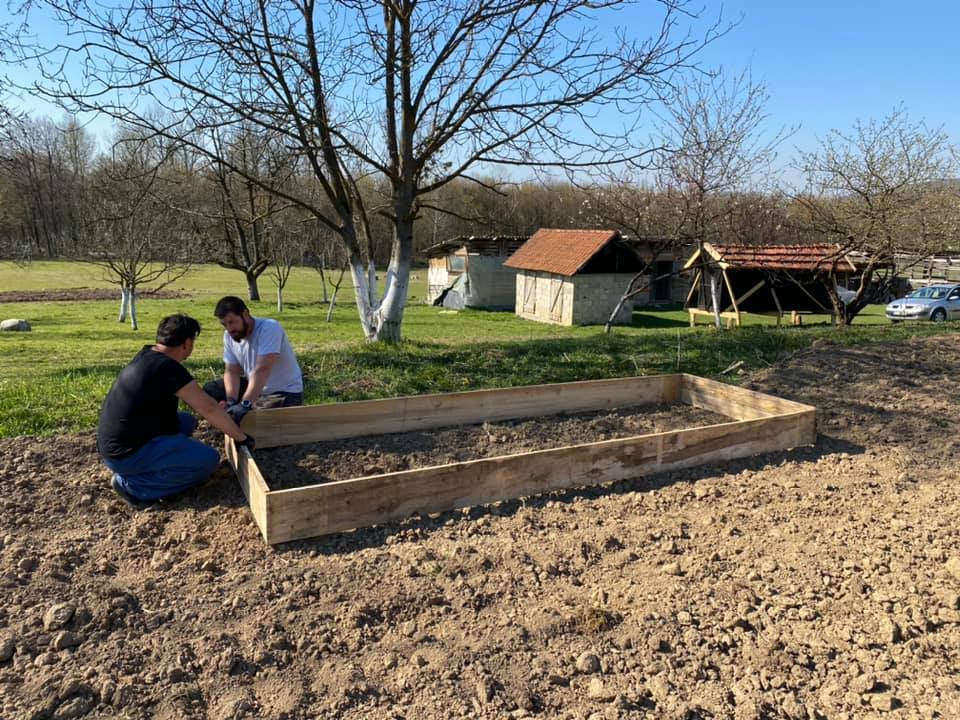 Preparing the garden for sowing..