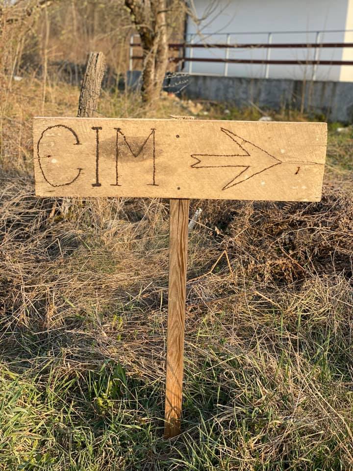 Today we cleaned our forest..